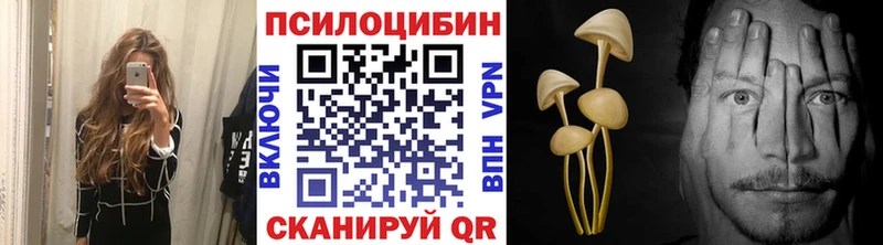 Псилоцибиновые грибы мухоморы  MEGA зеркало  Казань  купить наркотики сайты 
